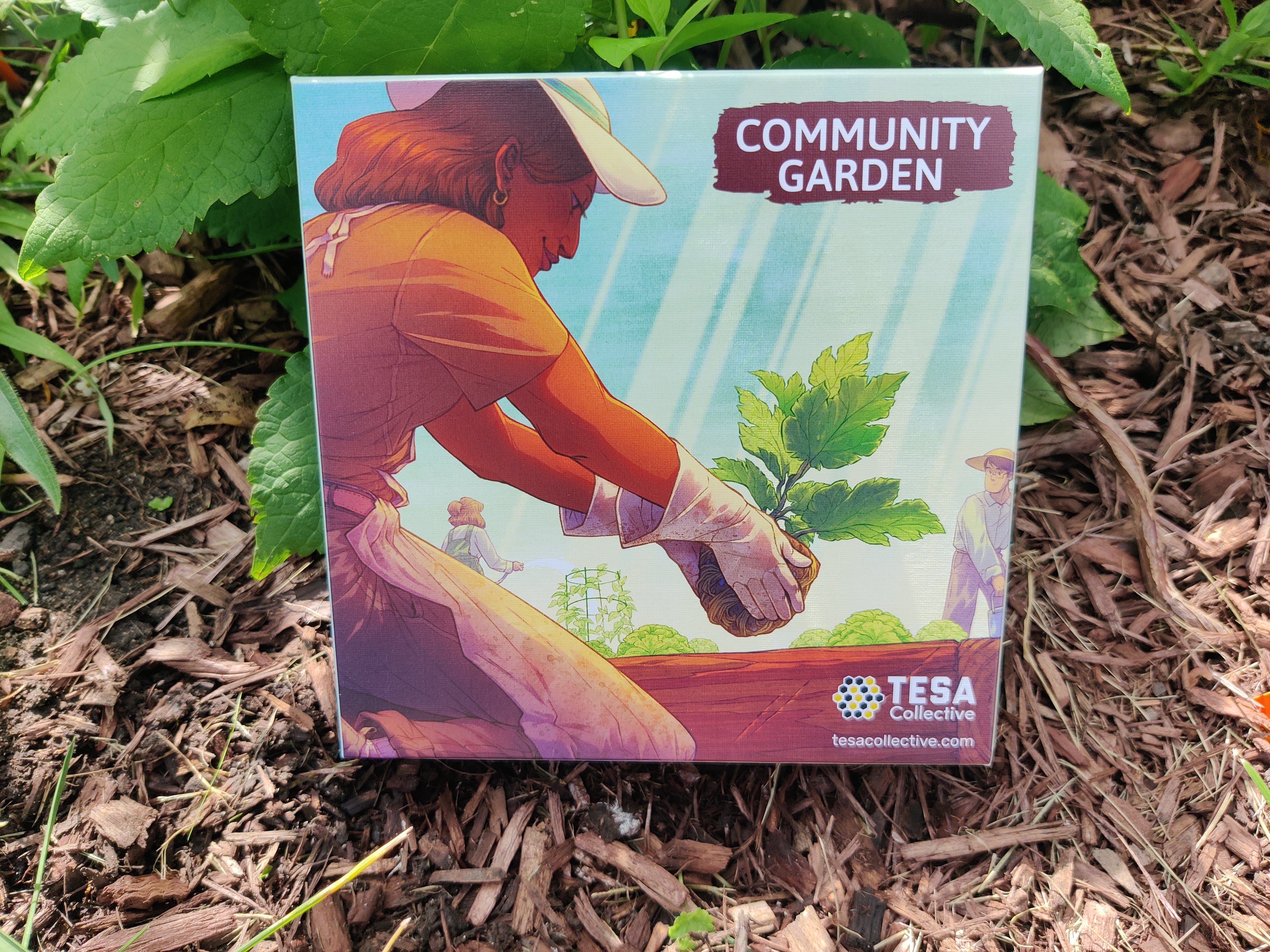 Community Garden: The Board Game