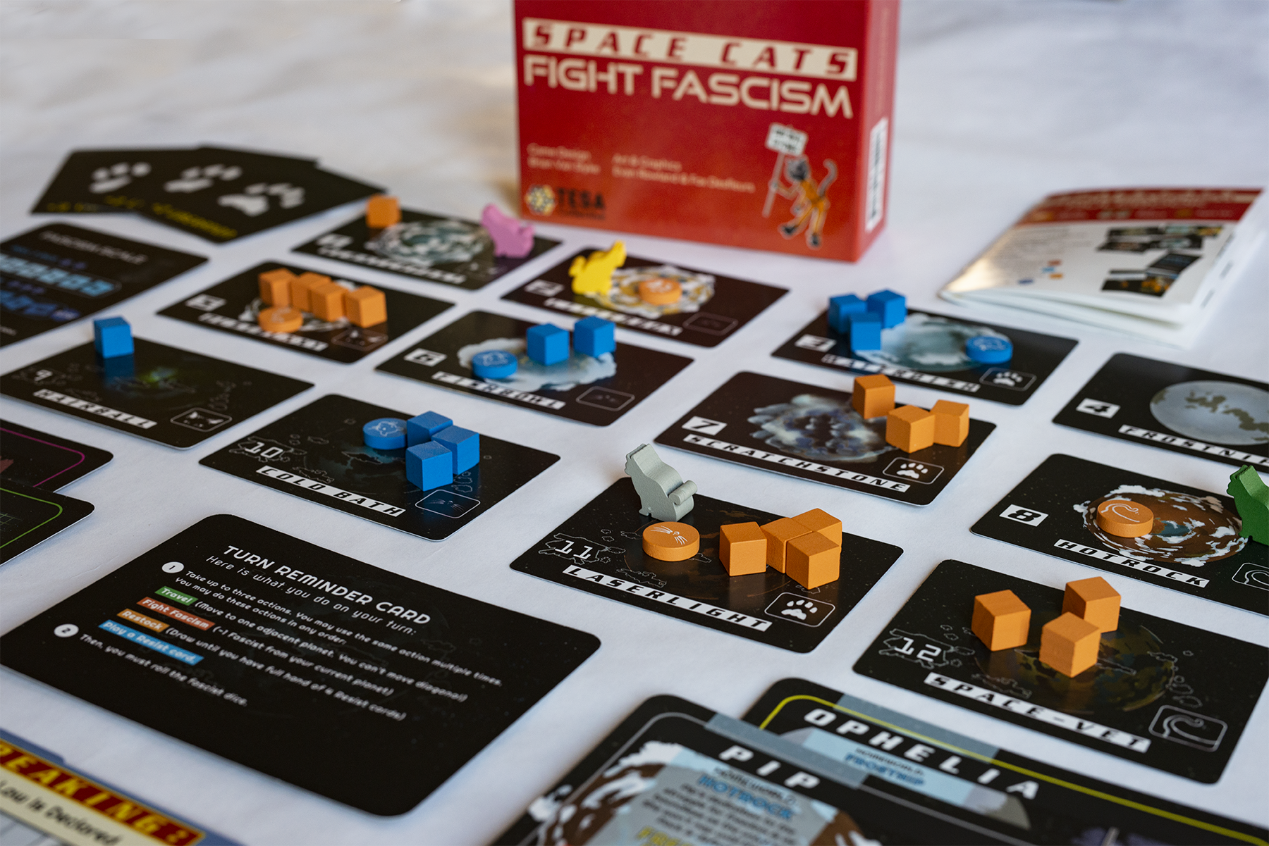 Space Cats Fight Fascism: The Board Game